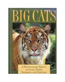 Big Cats. A Photographic Survey of Lions, Tigers, Leopards and Cheetahs
