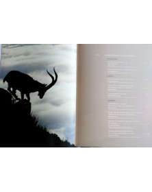 La cabra montés y la reserva de caza "La Sierra"