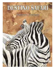 Destino Safari