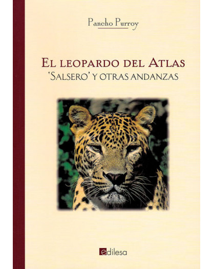 El leopardo del Atlas